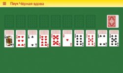 Пасьянс Паук Чёрная Вдова