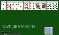 Пасьянс Паук 2 масти играть крупными картами